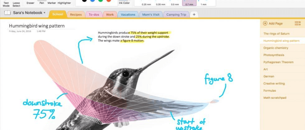 Notepad Template For Onenote Onenote vs evernote for mac