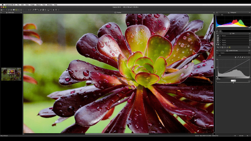 Nikon software for mac sierra