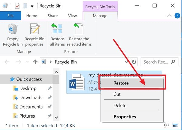 easy-word-recovery-portable