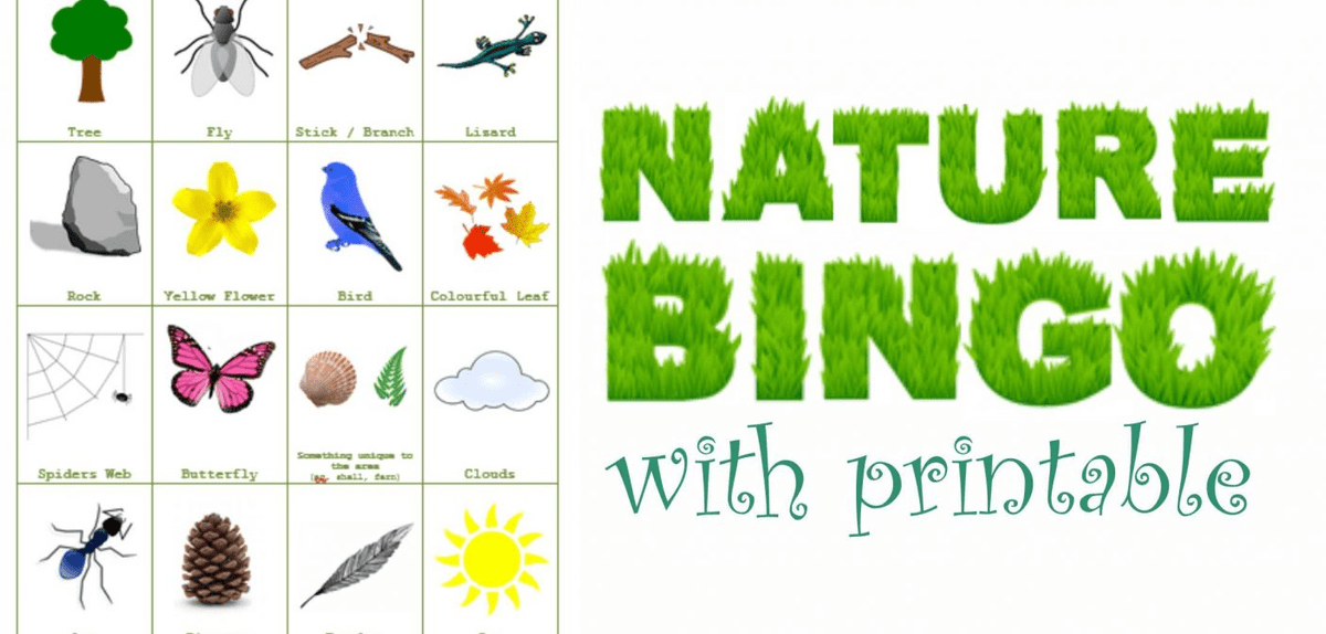 Free printable nature bingo cards