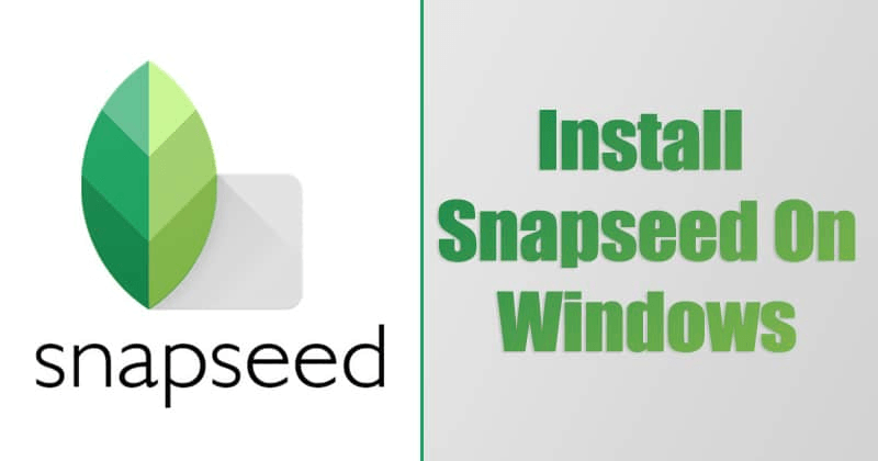 Snapseed For Windows 10