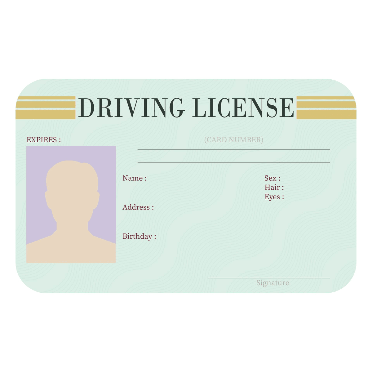 drivers license template pdf