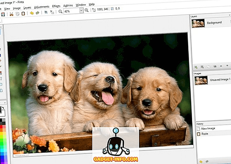Ms paint for mac free