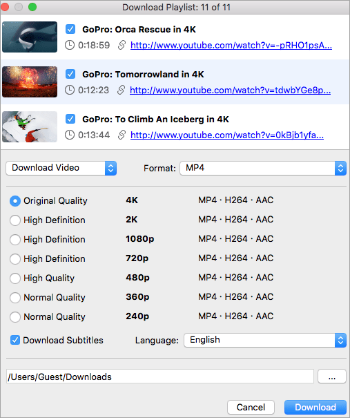 Best youtube video downloader app for mac