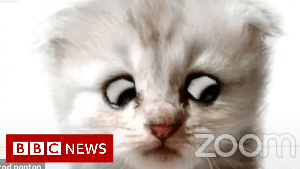 Zoom video filter aktivieren