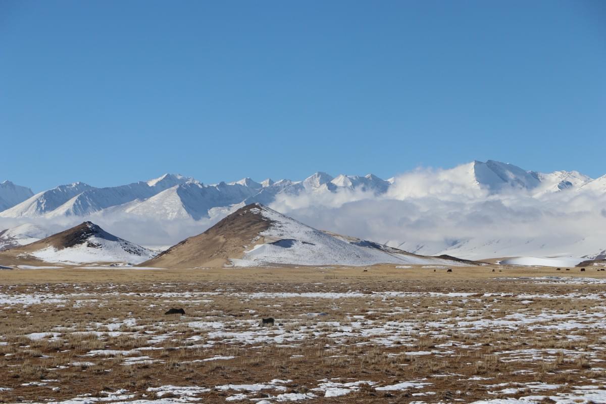 カン・リンポチェ聖山ブログ｜転山完全ガイド＋グゲ王朝・東嘎皮央遺跡解説＋道中絶景  チベット・アリ地方——「世界の屋根の屋根」と呼ばれるこの地に、カン・リンポチェ（岡仁波斉、標高6,656m） は静かに屹立しています。 チベット仏教・ボン教・ヒンドゥー教・ジャイナ教、四大宗教すべてから「世界の中心」と崇められる聖山。 ピラミッドのように整った山容、万年雪に覆われた頂、朝陽に金く染まる姿——その神々しさは、言葉では表現しきれません。 この旅では、カン・リンポチェ転山（聖山一周トレッキング） の詳細、道中の絶景、そしてアリ地方に残るグゲ王朝遺跡・東嘎皮央石窟の謎と美しさを、たっぷりとお届けします。 一、カン・リンポチェとは？｜世界の中心に佇む聖山  カン・リンポチェは岡底斯山脈の主峰で、アリ地方プラン県に位置します。 周囲にはヒマラヤ山脈・カラコルム山脈・崑崙山脈が連なり、「雪山に囲まれた聖地」と呼ばれます。 また、四大聖河の源でもあります。  • 獅子泉河（インダス川へ）  • 孔雀河（ガンジス川へ）  • 馬泉河（ヤルツァンポ川へ）  • 象泉河（サトレジ川へ）  古くから「この山を一周すれば、一年の罪が浄化される」と信じられ、今も世界中から巡礼者が絶えません。 二、カン・リンポチェ転山（聖山一周）完全解説  「転山（ジョンシャン）」とは、カン・リンポチェの麓を時計回りに一周する巡礼トレッキングのことです。 信仰を込めて歩く伝統的な行程で、現在は世界中のトレッカーに人気です。  1. 基本情報  • 総距離：約52km  • 標準日程：2泊3日（初心者向け）  • 最高標高：ドルマラ峠（約5,630m）  • 必須ルール：必ず時計回り（宗教的慣習のため、逆回りは厳禁）  2. 日程別ルートと道中の景色  1日目：スタート地点（タルチェン）→チョクグ寺周辺（宿泊）  • 標高：4,700m前後  • 道のり：なだらかな高原道、草原と砂利道が中心  • 見どころ：  ◦ 遠くにカン・リンポチェの雄姿を望む  ◦ マニ石（祈りの石）や経幡（風の祈り旗）が道端に連なる  ◦ 青空と草原、時折ヤクや羊の群れが現れる高原の風景  2日目：チョクグ寺→ドルマラ峠→中間宿泊地（最も過酷な日）  • 標高差：5,000m→5,630m→5,000m  • 道のり：坂道が続き、高地特有の息切れを感じやすい  • 見どころ：  ◦ 峠手前：荒涼とした岩場と氷河の痕跡  ◦ ドルマラ峠：カン・リンポチェを真横から望む絶景ポイント、雪嶺が眼前に迫る  ◦ 峠越え後：広大な荒原と遠くの山々が連なる、圧倒的なスケール感  3日目：宿泊地→スタート地点（完走）  • 道のり：下り中心、足取りが軽くなる  • 見どころ：  ◦ 朝の光に照らされるカン・リンポチェの山肌  ◦ 小川や湿地、高原の花（季節による）  ◦ ゴール地点での達成感と、聖山からの「浄化」を実感  3. 転山の心構え  高地のため速く歩くのは厳禁。 「ゆっくり、ゆっくり」を合言葉に、呼吸を整えながら一歩ずつ進めてください。 道中は巡礼者同士が互いに励まし合う、温かい雰囲気があります。 三、アリ地方の至宝｜グゲ王朝遺跡と東嘎皮央石窟  カン・リンポチェを後にし、車で西へ約250km——札達（ザンダ）県に入ると、眼前には土林（トゥーリン） と呼ばれる奇観が広がります。 億万年の風雨が削り上げた粘土の柱々が、まるで「大地の彫刻庭園」のように連なります。 この土林の中に、700年にわたりアリ地方を支配し、忽然と消えた謎の王朝——グゲ王朝 の遺跡が眠っています。  1. グゲ王朝遺跡（ツァパラン城址）  • 時代：10世紀～17世紀（チベット帝国崩壊後、吐蕃王族が建国）  • 場所：札達県象泉河畔、標高3,800mの土林の丘上  • 特徴：  ◦ 全高115m、300mに及ぶ巨大な土造りの城郭  ◦ 王宮・寺院・住宅が階層的に配置された「立体都市」  ◦ 城内には1,000年前の美しい壁画が残り、仏教画や王族の生活が描かれています  • 謎：17世紀、一夜にして住民が姿を消し、廃城となった理由は今も不明。  朝陽が城壁を黄金色に染める瞬間は、まさに「時空を超えた美しさ」です。  2. 東嘎皮央（トンガ・ピヤン）石窟遺跡  グゲ王朝の副都・文化センターとして栄えたのが、東嘎村・皮央村にまたがる石窟群です。 「チベットの敦煌」とも呼ばれ、中国最大級の仏教石窟遺跡として知られています。  • 時代：古格王朝最盛期（10～11世紀）  • 構成：寺院・城郭・千を超える石窟・塔林から成る  • 最大の見どころ：鮮やかに残る壁画  ◦ 仏伝物語、菩薩、飛天、孔雀・象などの動物が描かれ  ◦ インド・西域・中央アジアの様式が融合した、国際色豊かな美しさ  ◦ 暗い石窟の中に灯りをともすと、1,000年前の色彩が今に蘇る  土林の丘に無数の洞窟が開いた光景は、まるで「蜂の巣城」のようで、神秘的な雰囲気に包まれます。 四、カン・リンポチェ＆アリ旅行 必守注意事項  1. 高山病対策（最優先）  アリ地方は平均標高4,500m超、高山病リスクが極めて高いです。  • チベット到着後、1～2日は絶対に休養、無理な運動禁止  • アルコール・喫煙は厳禁  • 水分を1日2～3L摂取（脱水が高山病を悪化させる）  • 頭痛・吐き気・息切れが出たら即休憩・下山、薬を事前に準備  2. 服装・装備（天気が急変！）  一年を通じて朝晩は氷点下、昼は強い日差し、天気がコロコロ変わります。  • 防水防風ジャケット、保温インナー、暖かい手袋・帽子  • 滑りにくいトレッキングシューズ（岩場・砂利道多し）  • 紫外線対策：サングラス、日焼け止め（SPF50+）、リップクリーム  • 雨具、ダウンジャケット（峠は夏でも雪が降る）  3. 宿泊・食事  • 転山路中：簡易山小屋のみ、設備は最低限（電気・布団あり）  • 食事：現地のチャパティ・野菜スープが中心、携帯食・お菓子・温かい飲み物を必ず持参  • 札達県：宿泊施設が充実、現地料理や四川料理が食べられる  4. 通信環境（ほぼ圏外！）  カン・リンポチェ転山ルート・土林エリアはほぼ無人地帯、電波・ネットが繋がりません。  • 緊急連絡用に衛星電話または現地ガイドの無線機を利用  • 事前に家族・旅行会社に行程を届け出る  5. 聖地でのマナー（絶対厳守）  • ゴミは必ず持ち帰る（自然を守ることが最大の礼儀）  • 経幡・マニ石・寺院に無断で触れない、登らない  • 巡礼者の邪魔にならないよう、大声での会話・笑いを控える  • 動植物を傷つけず、自然と歴史を尊重する  6. 安全対策（単独行動は厳禁）  • 転山は必ず現地専門ガイド同行（道迷い・悪天候リスク大）  • 悪天候（吹雪・大雨）予報時は行程を延期・中止  • グゲ遺跡・東嘎皮央は危険な崩落箇所があるため、指定ルート以外に入らない 五、最後に｜聖山と歴史が紡ぐ、一生忘れられない旅  カン・リンポチェの転山は、体には過酷ですが、心には最高の癒しを与えてくれます。 そして、土林に眠るグゲ王朝・東嘎皮央遺跡は、1,000年の時空を超えた美しさと謎を私たちに語りかけてきます。  雄大な雪山、広大な高原、時に厳しく、時に優しい自然。 そして、人々の信仰と歴史が刻まれた土地。 この旅は、日常の喧騒を忘れ、自分自身と向き合い、心を浄化する旅になるでしょう。  しっかり準備を整え、安全第一で、チベット・アリの神聖な自然と歴史を、心ゆくまで味わってください。 おまけ：西藏蔵泉国際旅行社有限公司より  このカン・リンポチェ＆グゲ王朝ツアーは、私たち西藏蔵泉国際旅行社有限公司（法人：多杰龍周） が、現地の知識と経験を活かし、安全・快適・充実にサポートいたします。 聖地巡礼と歴史探訪の旅を、ぜひ私たちと共に。 この内容で、ブログ投稿用にそのまま使える長文になっています。