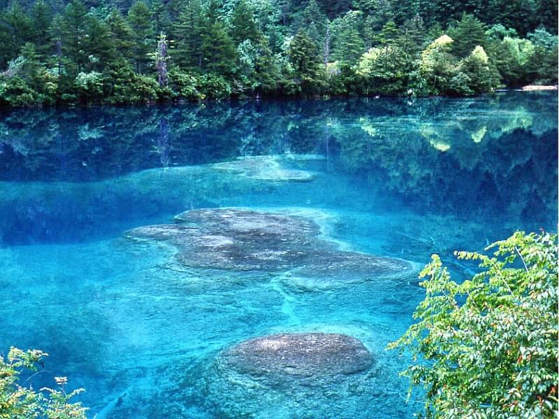 九寨溝1992年にユネスコにより世界自然遺産に指定された景勝地。「童話世界」とも呼ばれるこの九寨溝は四川省阿バ蔵族自治州九寨溝県の中南部に位置し、荷葉、樹正、ニチサコウなど9つのチベット族の村があることから「九寨溝」と名付けられました。 風景区内の標高は2,000から3,100m。総面積1,320平方km。大小100以上の湖が棚田状に連なり、それぞれの湖は岷山山脈から流れてきた石灰石が湖底に沈殿し、そのろ過作用により非常に透明度が高く美しい色彩の湖のほか、47の泉、17の瀑布などの景観を楽しむことができます。風景区内はＹ字方の則査溝、日則溝、樹正溝の3つの渓谷にわかれ、移動には環境保護バスを利用します。 【則査溝のみどころ】 ＊長海：標高3,150ｍ。九寨溝最大の湖。 ＊五彩池：日に何度も湖の色を変えるといわれる鮮やかな湖の色で有名。 ＊熊猫海：かつてはパンダが水を飲みにきたといわれる湖。