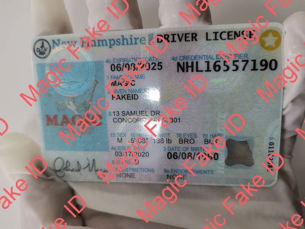 Fake nh drivers license template