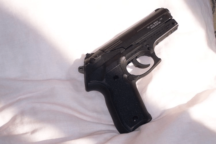 Value of a gun by serial number