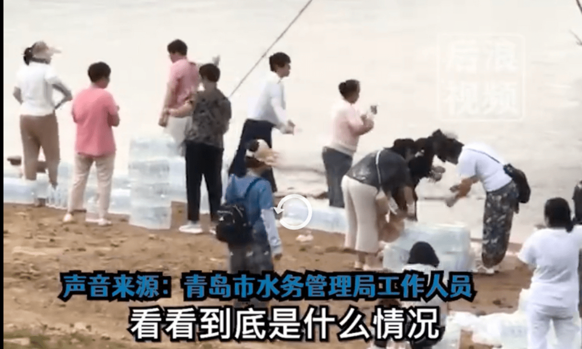 Display adapters not showing