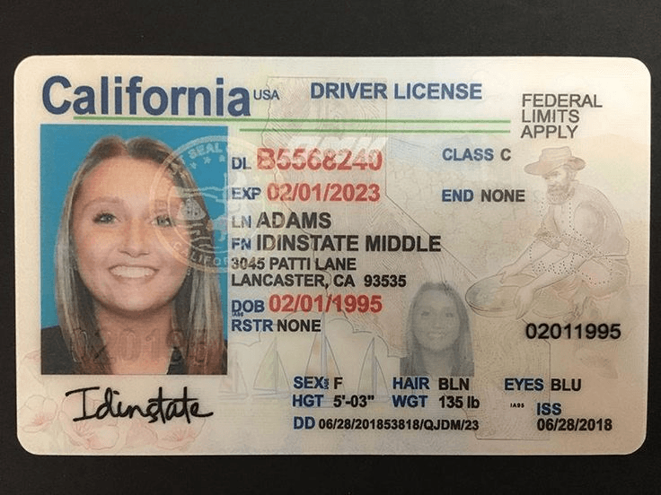 California dmv drivers license template
