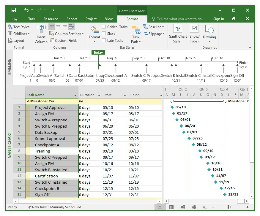 Ms project timelines