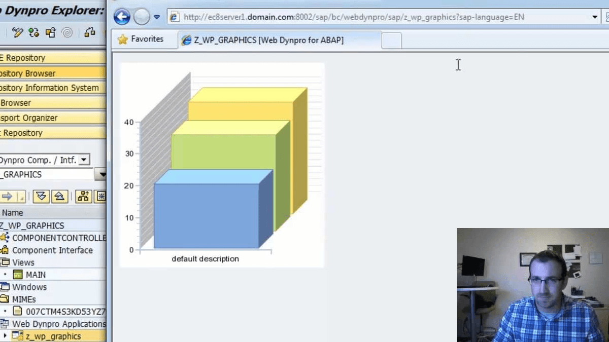 Browser supported by web dynpro