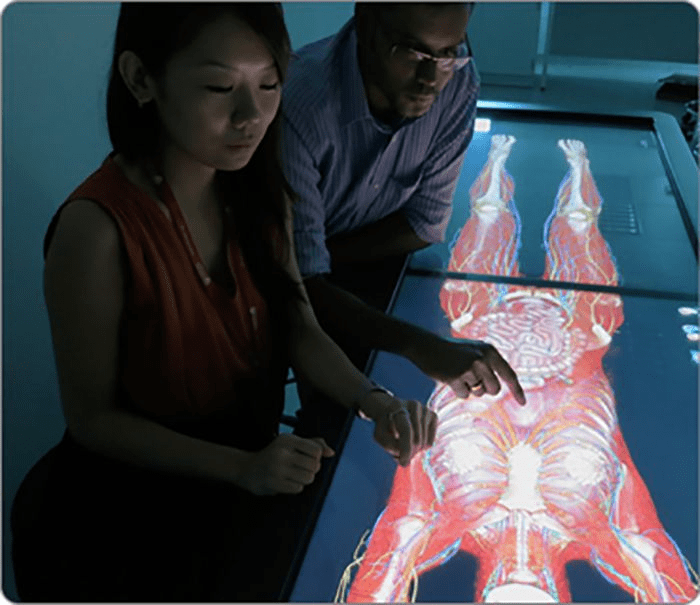 Invivo dental viewer download cnet