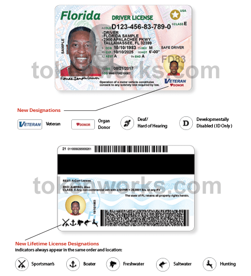 Florida driver license back template