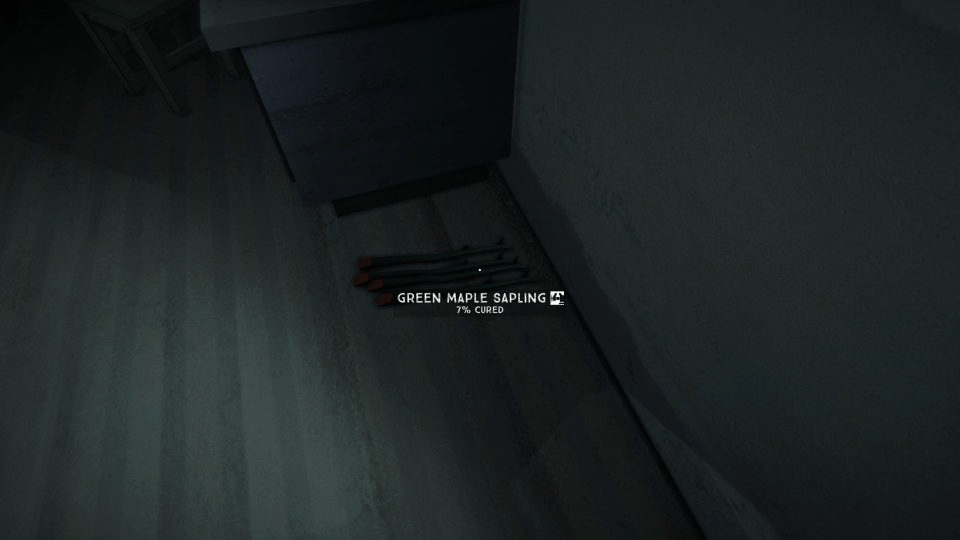 The long dark maple sapling