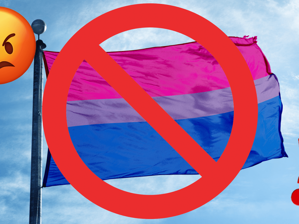 No gay flag emoji copy and paste