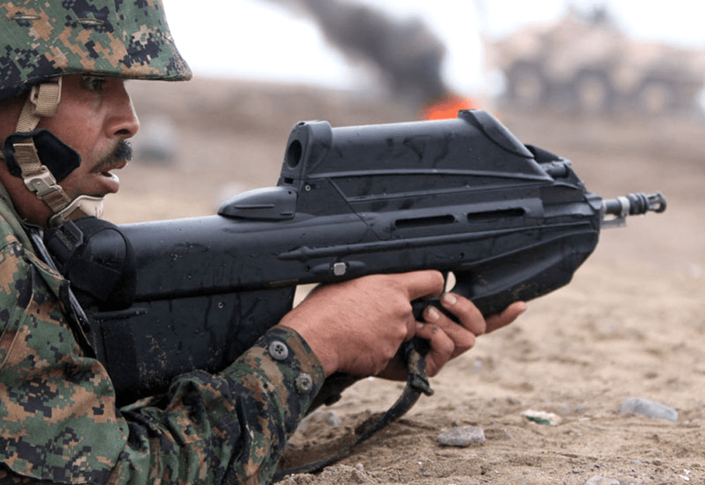 Fn f2000 assault rifle for sale