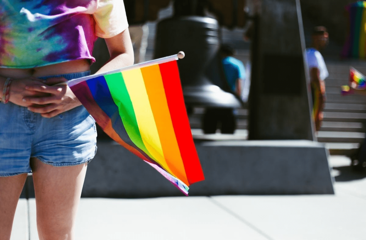 What does the colors of the gay flag mean