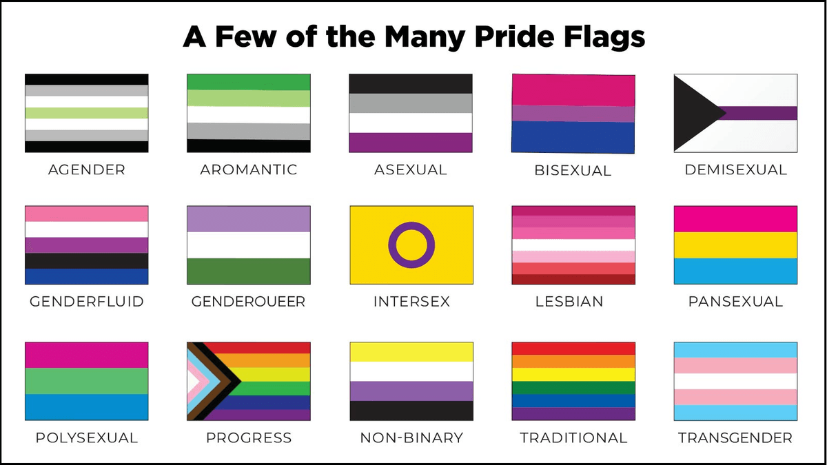 What does the gay flag colors stand for