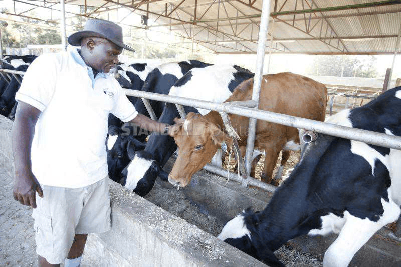 Milking farm human cattle comic porn gay