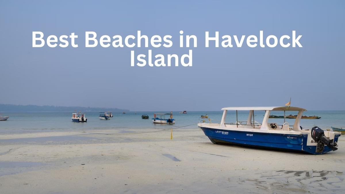 Best Beaches in Havelock Island Andaman Trip Guide