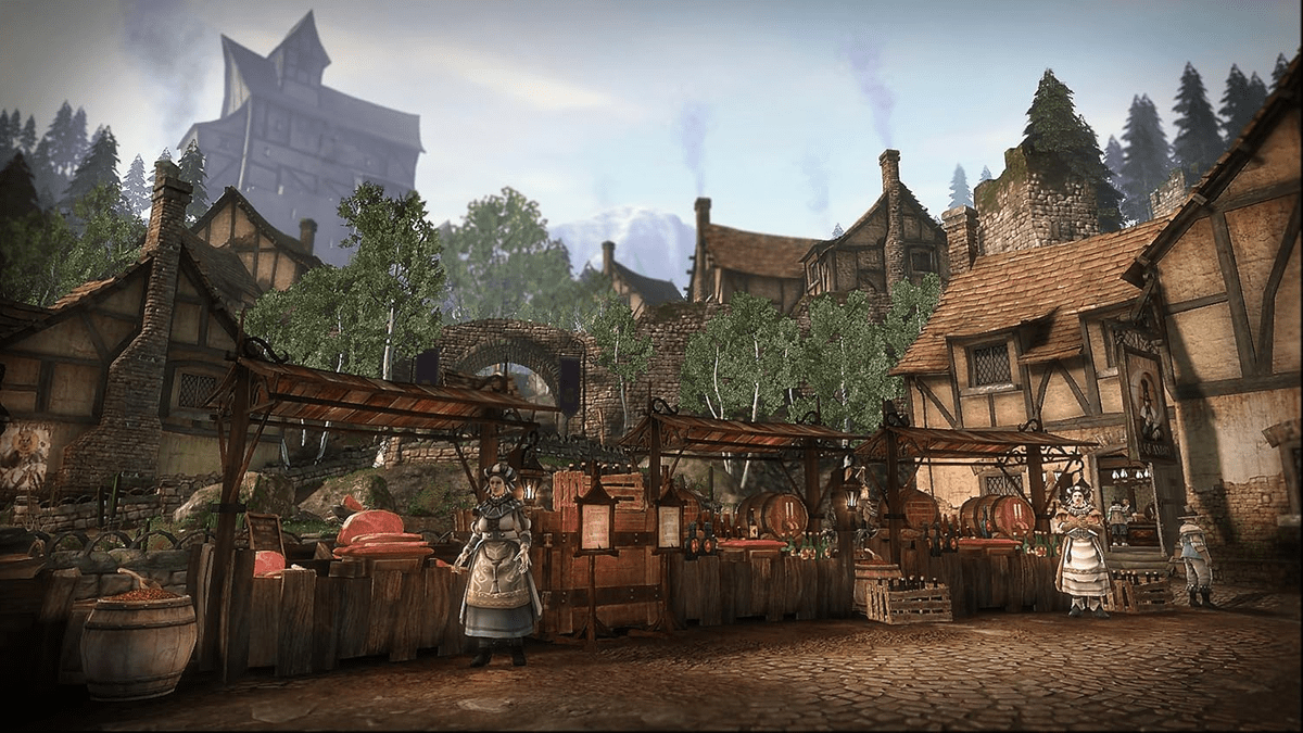 Pc Imager Fable iii pc