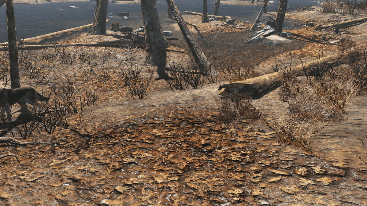 Fallout 4 textures low res