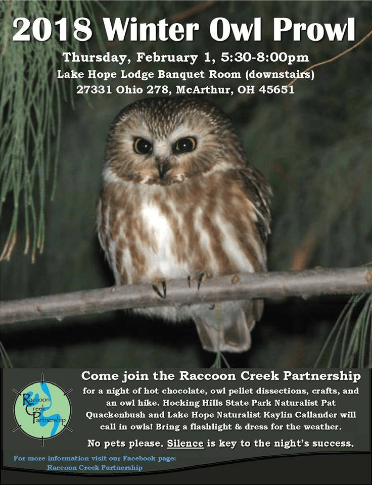 Panther creek park owl prowl