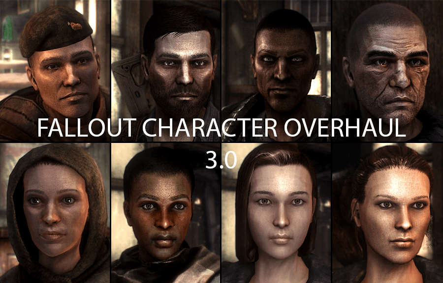 Fallout new vegas perfect character guide
