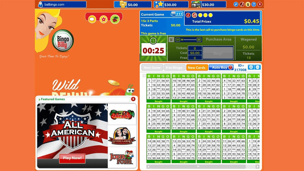 Bingo billy casino bonus codes