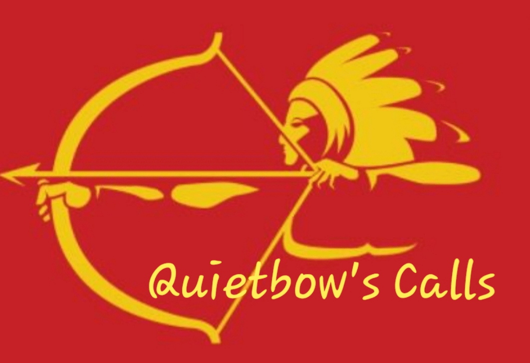 Draftkings showdown super bowl picks