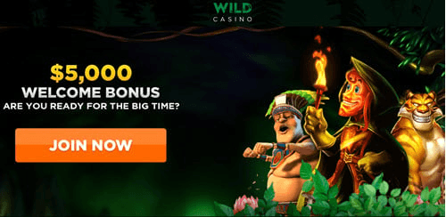 IWild Casino