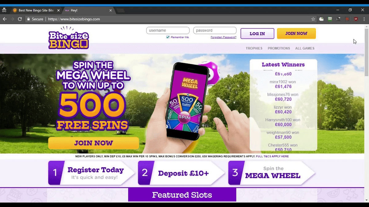 Play bingo for free win real money