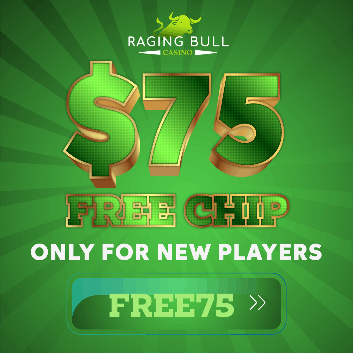 Raging Bull Casino Free Spins Interface