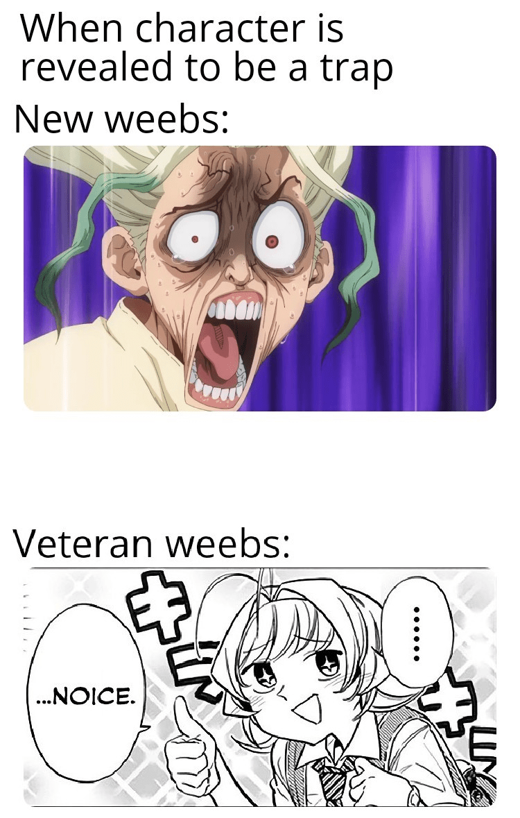 Are traps gay meme universe, image size:750x1179