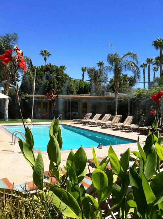 Gay hotels close to gay bars palm springs california