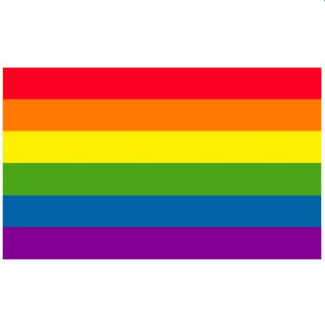 Rainbow gay flag colors