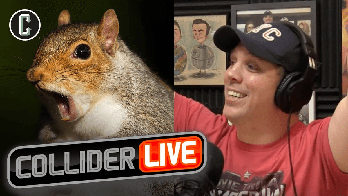 Squirrel catapult video youtube