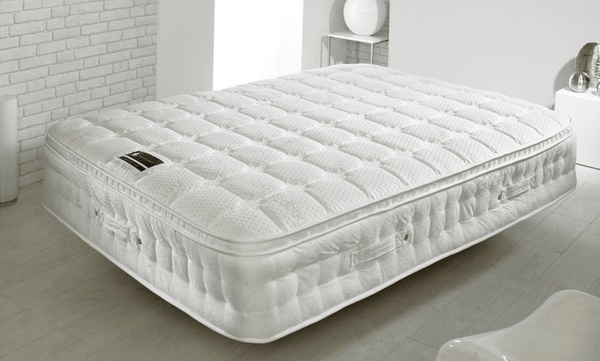 Bed bug on mattresses