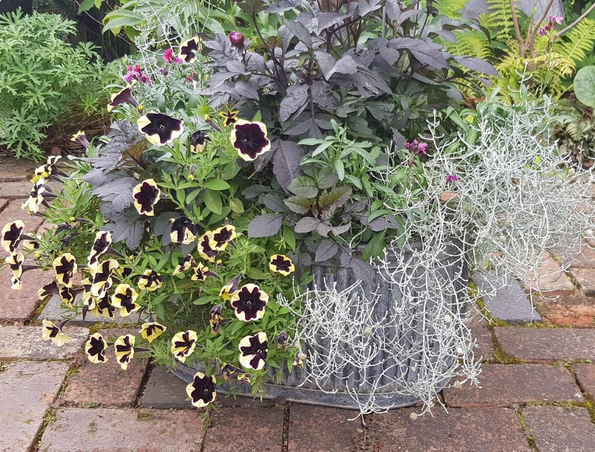 We are committed to promoting sustainable gardening practices. Our designs incorporate eco-friendly materials and techniques that minimize environmental impact while enhancing the beauty of your garden. Learn how we can help you create a thriving, sustainable outdoor space. Sustainable Practices What We Do Garden Design and Consultations