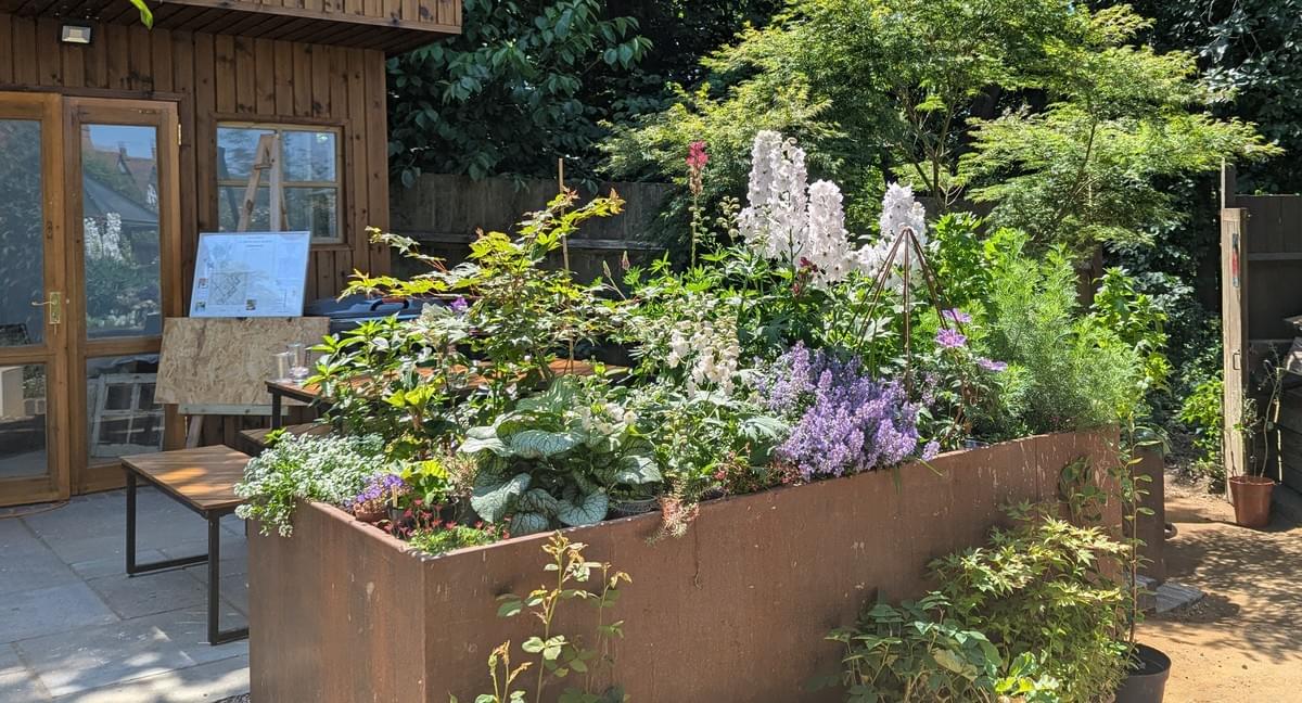 Our expert consultations provide you with valuable insights and practical advice for all your gardening needs. Whether you’re starting from scratch or looking to enhance an existing garden, we offer tailored solutions that help you achieve your gardening goals. Expert Consultations What We Do Garden Design and Consultations