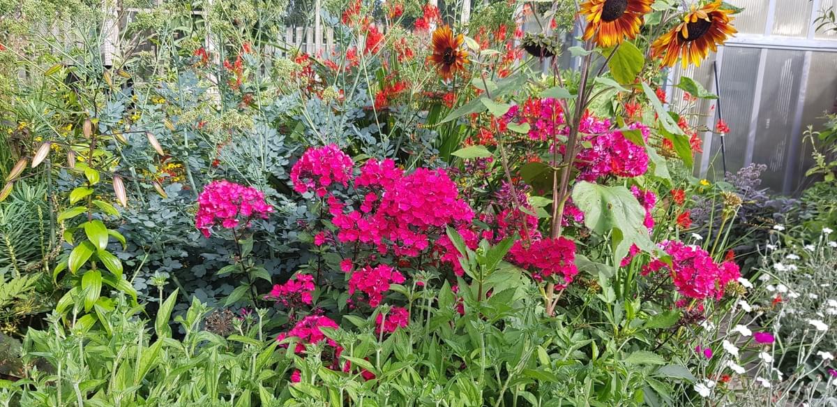 We are committed to promoting sustainable gardening practices. Our designs incorporate eco-friendly materials and techniques that minimize environmental impact while enhancing the beauty of your garden. Learn how we can help you create a thriving, sustainable outdoor space. Sustainable Practices What We Do Garden Design and Consultations