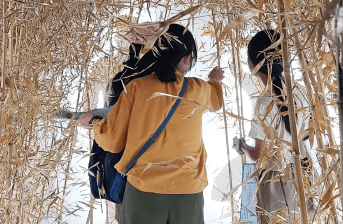 牧天遊戲可以進行未知的探索