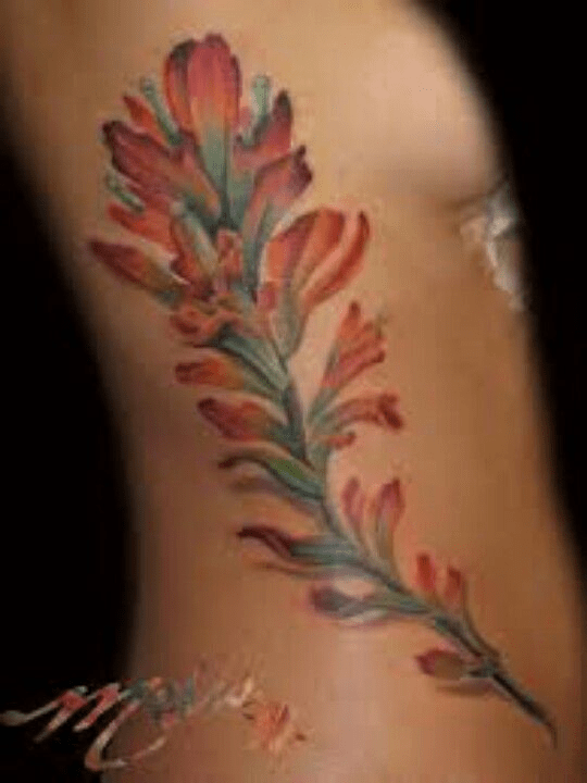 Lace and indian paintbrush tattoo