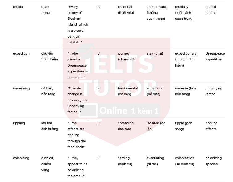 🔥Chinstrap Penguin Population In The Last 50 Years Answers with location - Đề thi thật IELTS READING- Làm bài online format computer-based, kèm đáp án, dịch & giải thích từ vựng - cấu trúc ngữ pháp khó