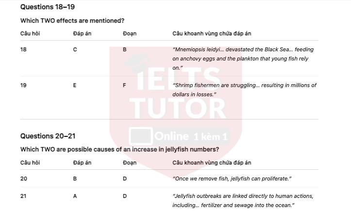 Jellyfish - The Dominant Species [TSI]​: Đề luyện tập IELTS READING (IELTS Reading Practice Test)