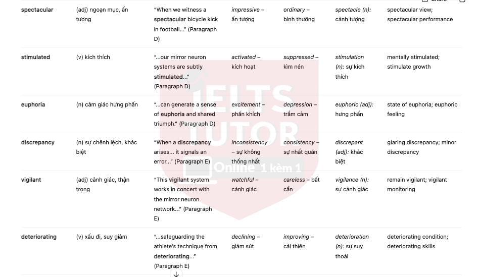 🔥How Does Watching Sport Influence the Brain? Answers with location - Đề luyện IELTS READING- Làm bài online format computer-based, kèm đáp án, dịch & giải thích từ vựng - cấu trúc ngữ pháp khó