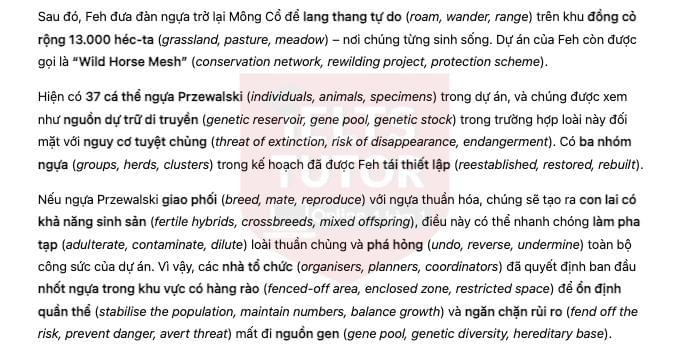 🔥Back to Wild - Đề thi thật IELTS READING - Làm bài online format computer-based, kèm đáp án, dịch & giải thích từ vựng - cấu trúc ngữ pháp khó