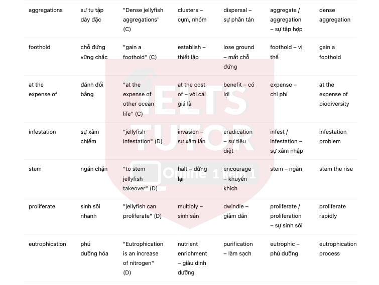 Jellyfish - The Dominant Species [TSI]​: Đề luyện tập IELTS READING (IELTS Reading Practice Test)